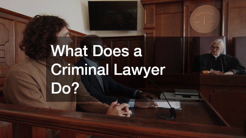 What Does a Criminal Lawyer Do?